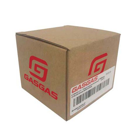 _Gas Gas EC 2 strokes and 4 strokes Radiator Cages | BE73100S2511 | Greenland MX_