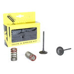 _Intake valves + springs pro-x KX 250 F 04-06 RMZ 250 04-06 | 28.SIS4335-2 | Greenland MX_