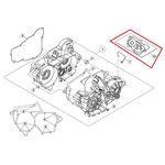 _Beta RR 250/300 2 strokes 2013 Engine gasket kit | 026010128200 | Greenland MX_