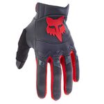 _Fox Dirtpaw CE Gloves | 31326-037-P | Greenland MX_
